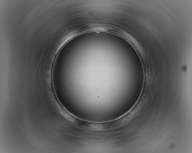 X0000102291194200807251414