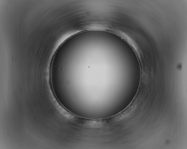 X0000102291195200807251414