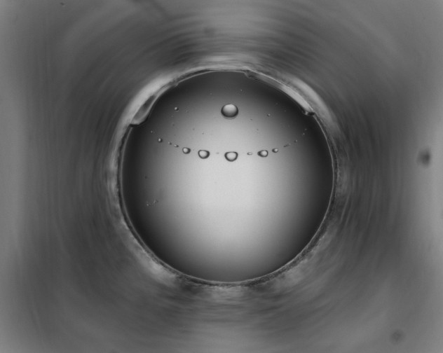 X0000102291196200807251414