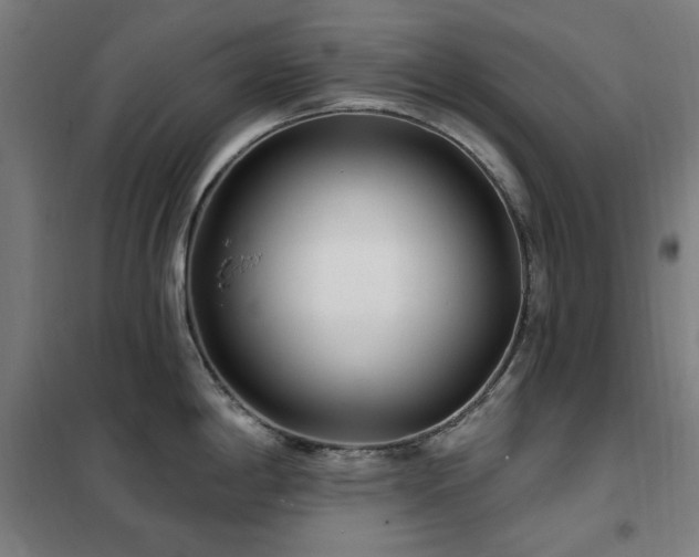 X0000102291198200807251414