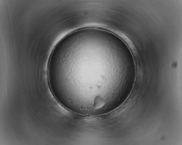 X0000102291199200807251414