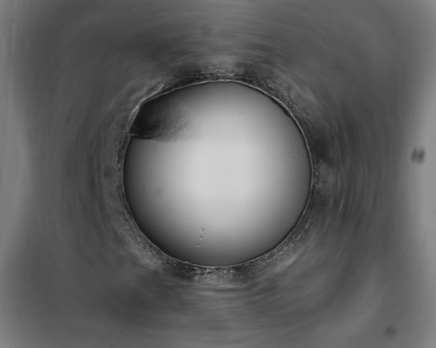 X0000102291201200807251414