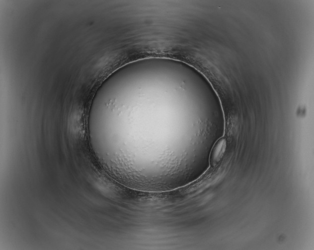 X0000102291202200807251414