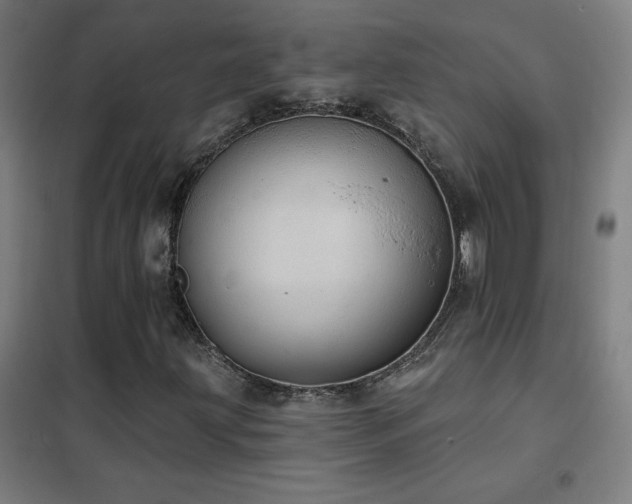 X0000102291203200807251414