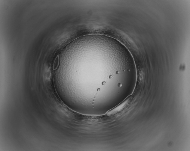 X0000102291204200807251414
