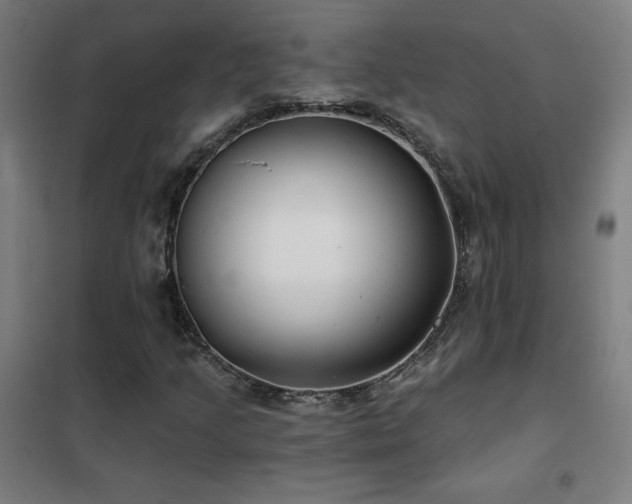 X0000102291205200807251414