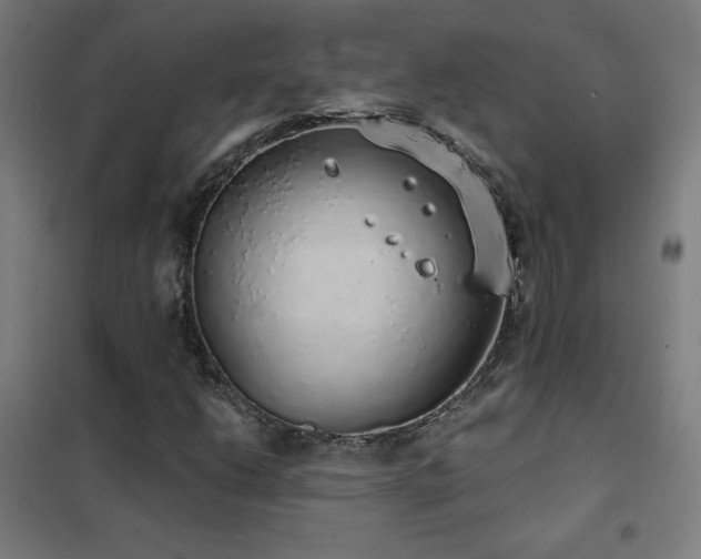 X0000102291206200807251414