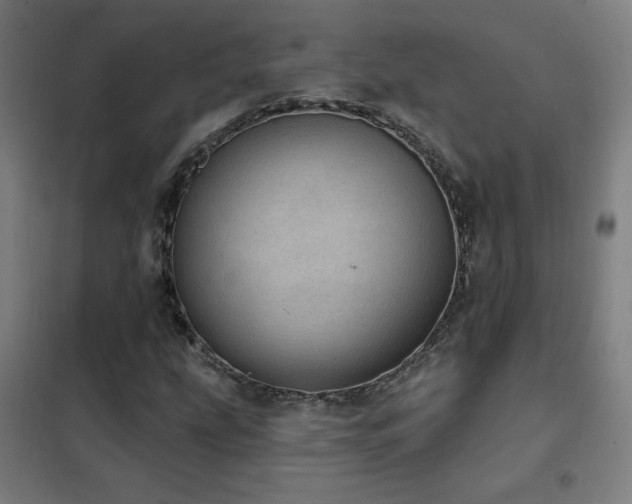 X0000102291207200807251414