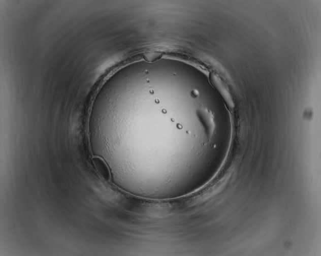 X0000102291210200807251414