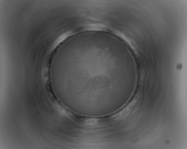 X0000102291211200807251414