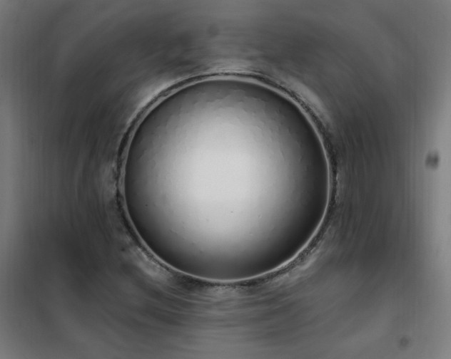 X0000102291212200807251414