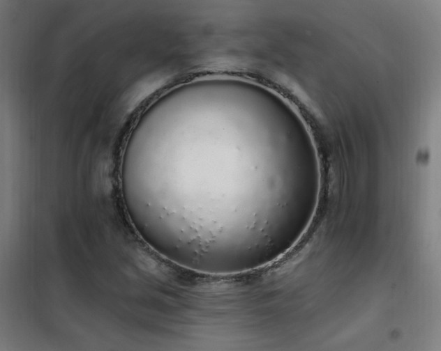 X0000102291213200807251414