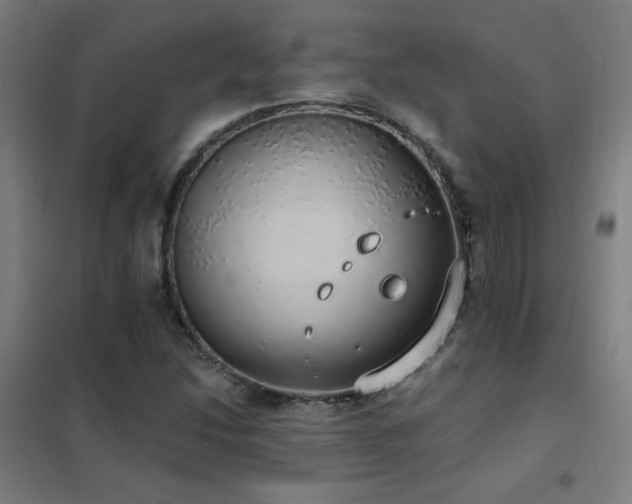 X0000102291214200807251414