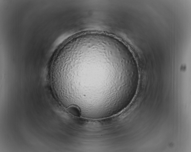 X0000102291215200807251414
