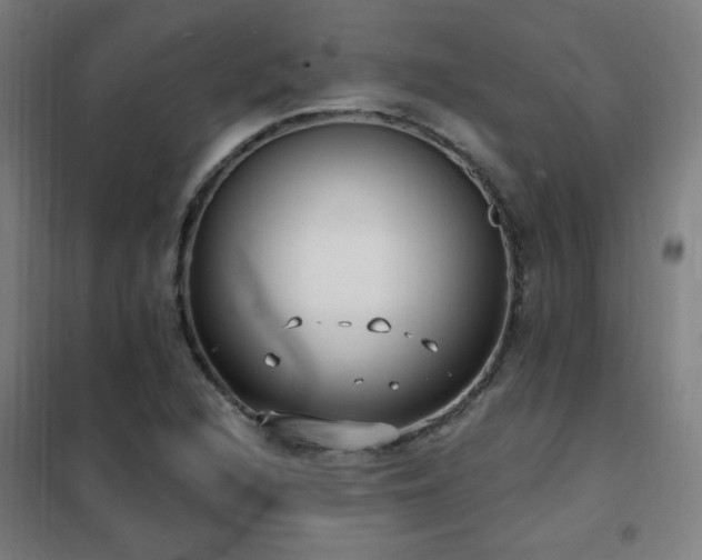 X0000102291216200807251414