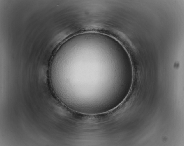 X0000102291217200807251414