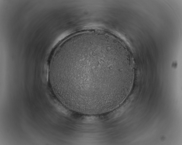 X0000102291219200807251414