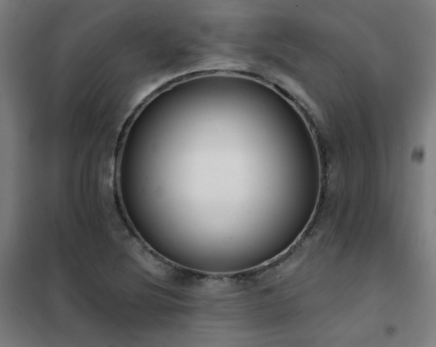 X0000102291220200807251414