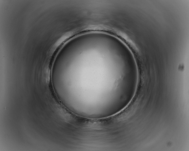 X0000102291221200807251414