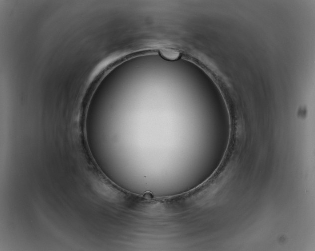 X0000102291222200807251414