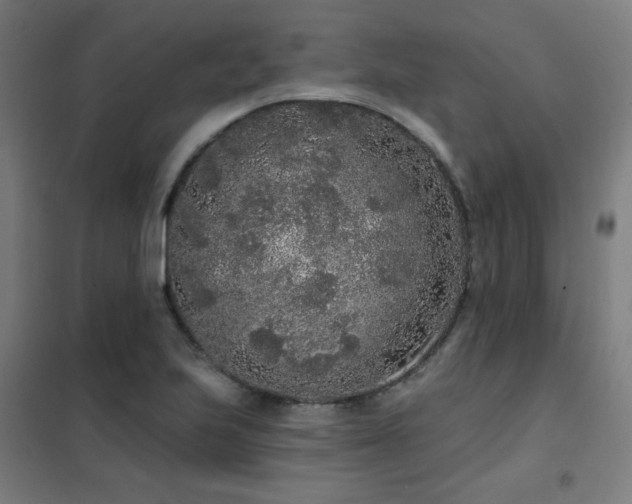 X0000102291223200807251414