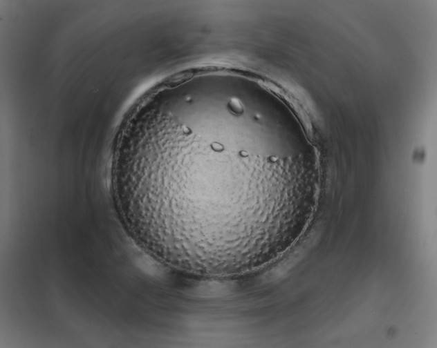 X0000102291224200807251414