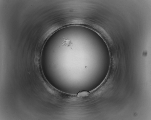 X0000102291225200807251414