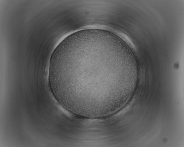 X0000102291228200807251414
