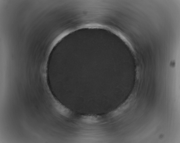 X0000102291229200807251414