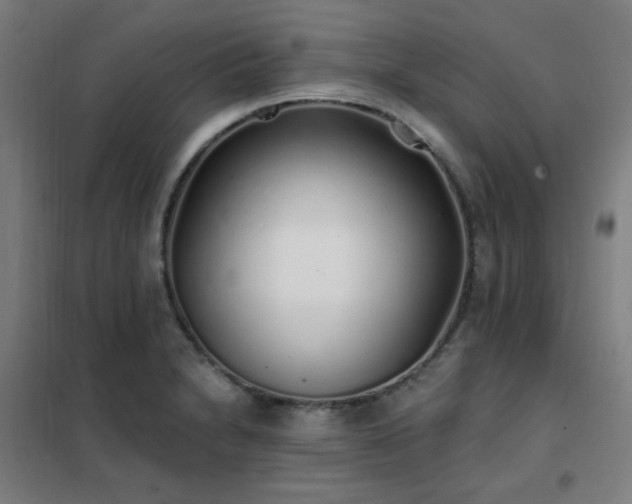 X0000102291230200807251414
