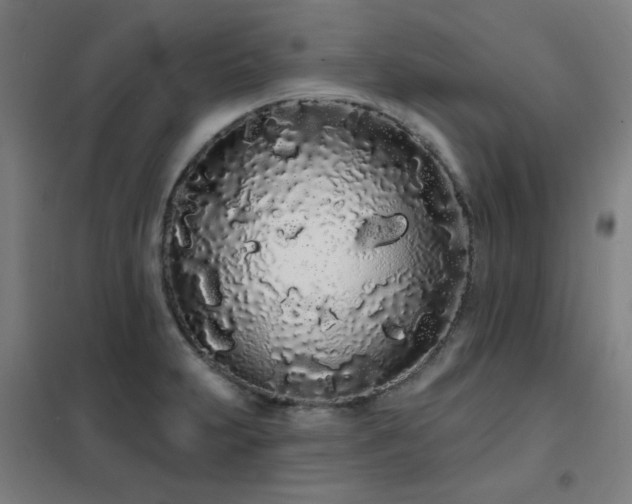 X0000102291231200807251414