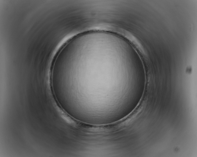 X0000102291232200807251414