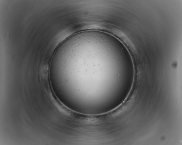 X0000102291233200807251414