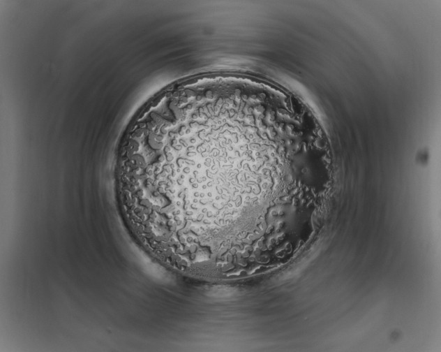 X0000102291235200807251414