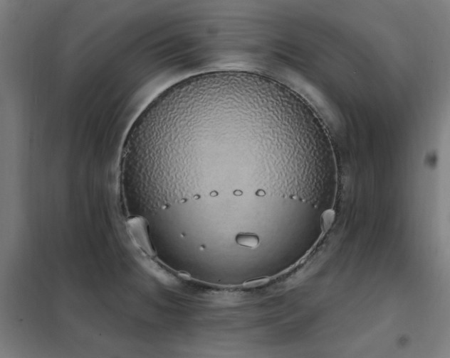 X0000102291236200807251414