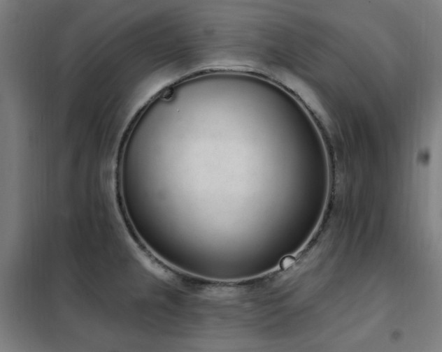 X0000102291237200807251414