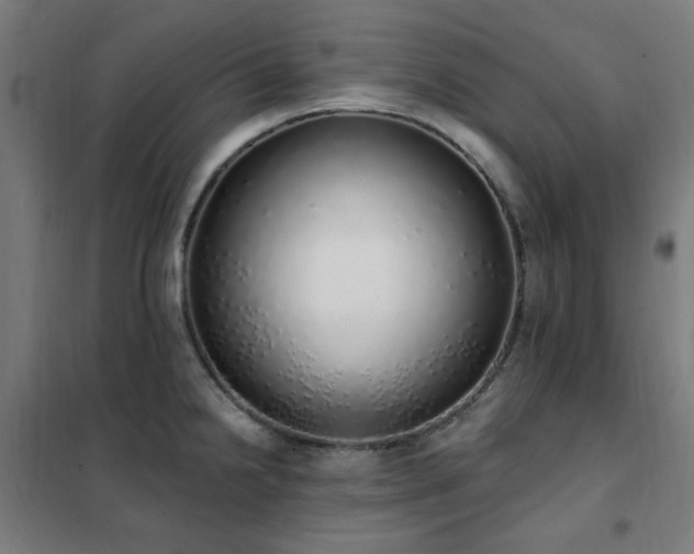 X0000102291238200807251414