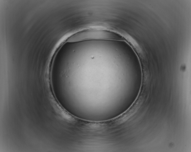 X0000102291240200807251414