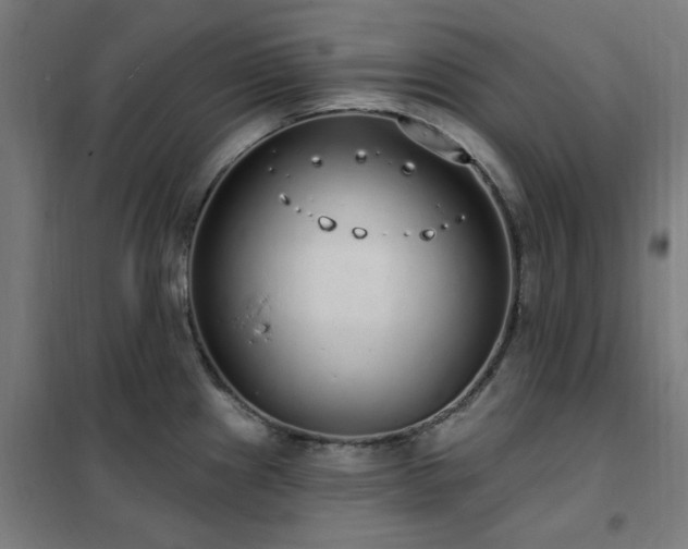 X0000102291241200807251414