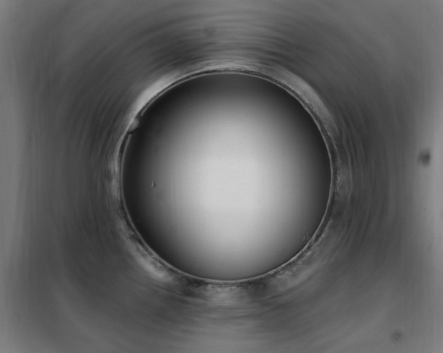 X0000102291242200807251414
