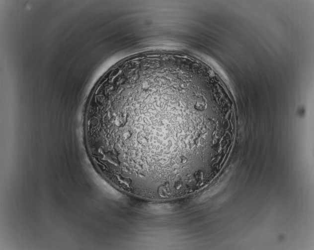 X0000102291243200807251414