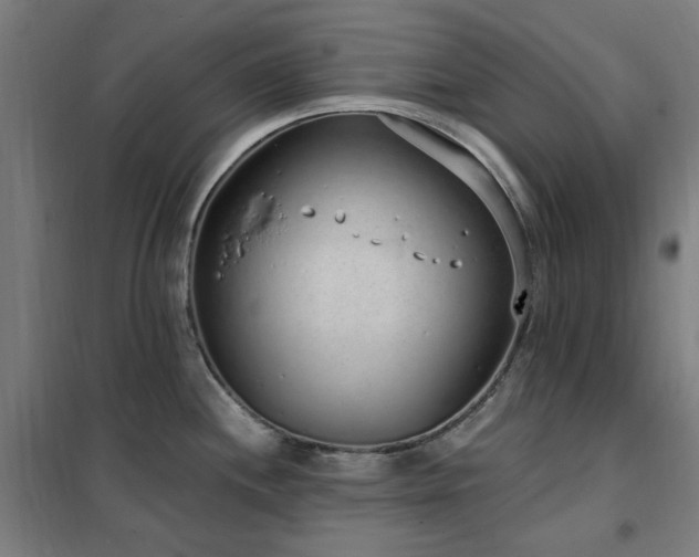 X0000102291244200807251414