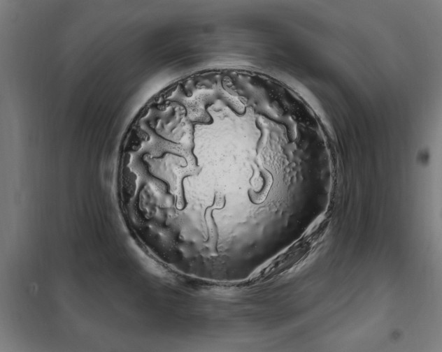 X0000102291245200807251414