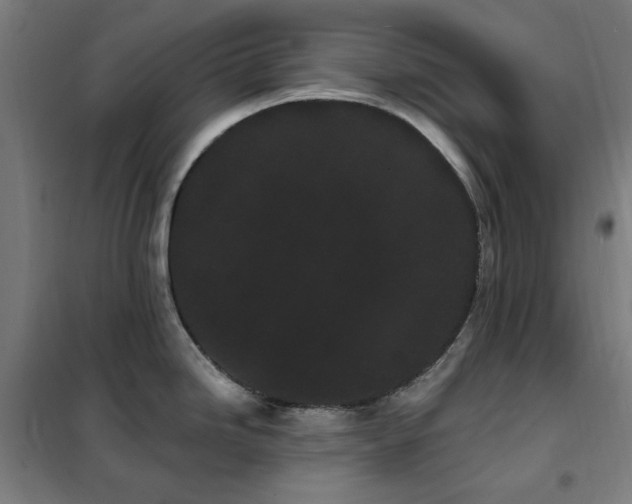 X0000102291246200807251414
