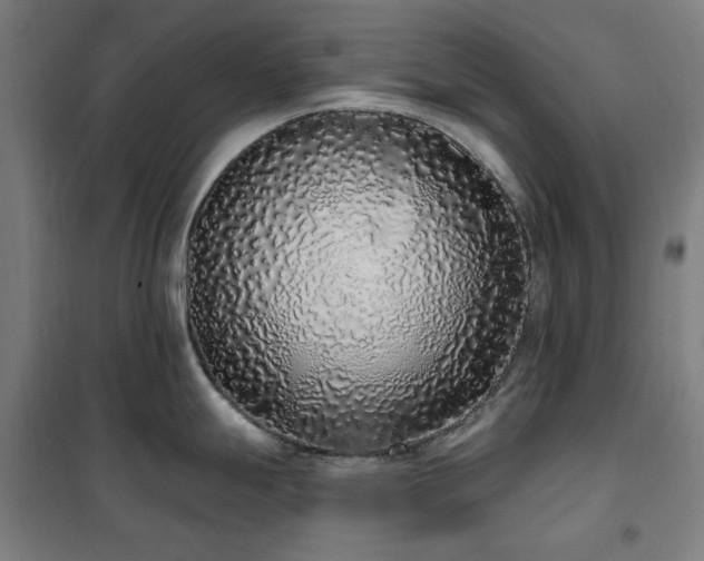 X0000102291247200807251414