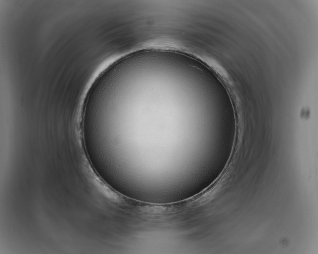 X0000102291248200807251414