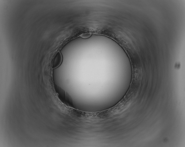 X0000102291249200807251414