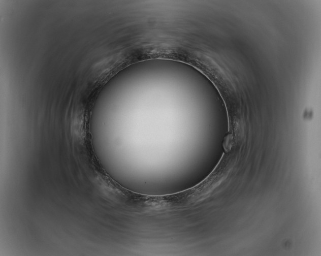 X0000102291250200807251414