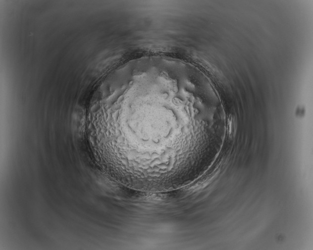 X0000102291251200807251414