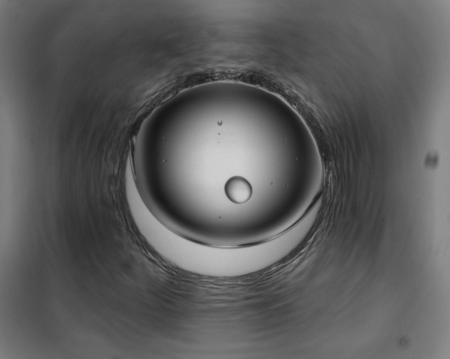 X0000102291252200807251414